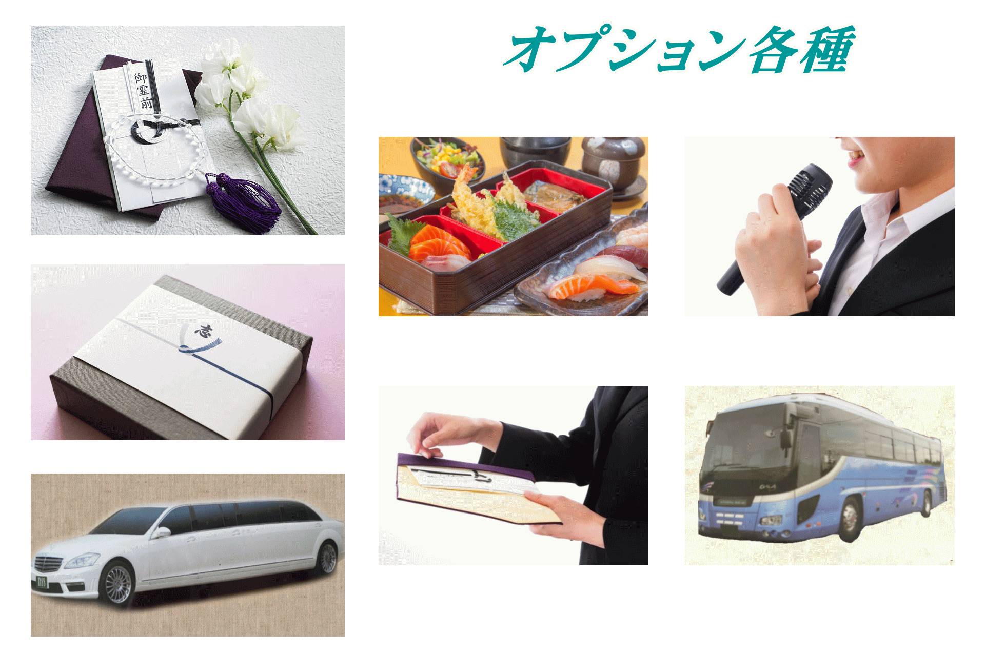 各種オプションも充実